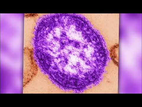 Measles Warning