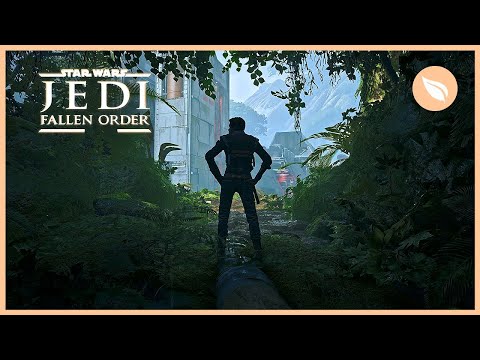 STAR WARS JEDI Kashyyyk Ambience | Forest + Distant Battle Sounds | 1 HOUR