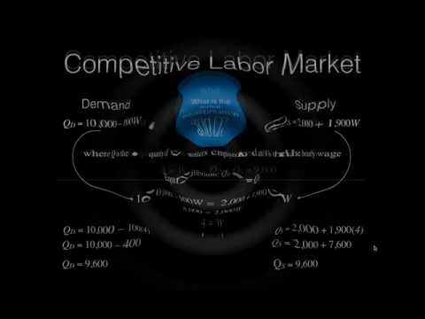 Intermediate CH2 Equilibrium and Government Intervention