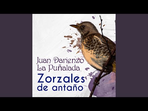 Sepe Ñopo Ripi Tapa