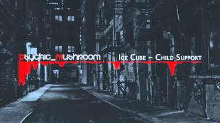 Ice Cube  -  Child Support