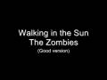 The Zombies - Walking in the Sun (Rare, better ...