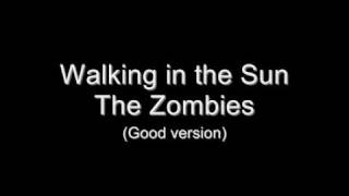 The Zombies - Walking in the Sun (Rare, better version)