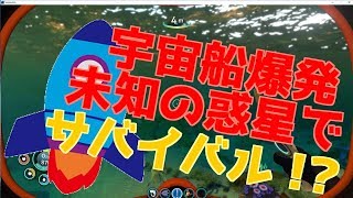 【Subnautica】余裕のあるサバイバルをしたい