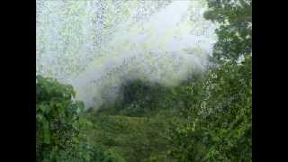 Rebach - David Benoit