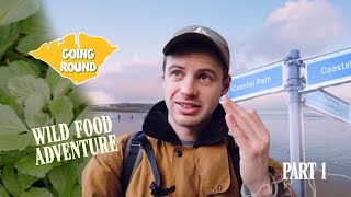 Can I Walk The Coastal Path on 100% Wild Food 🌱 75 Mile Foraging Challenge (Part 1)