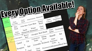 Tier List Ranking Every Druid Wild Shape!