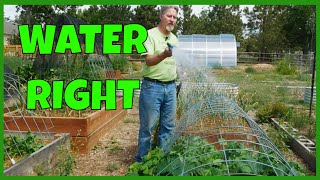10 Common Watering Mistakes (to Avoid)