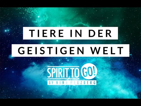 Tiere in der geistigen Welt (Jenseits)