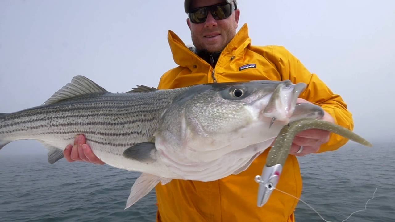 Striper Fishing In The Fog -  Using Radar to Find Birds