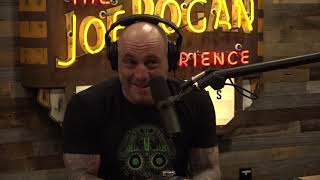 JRE 113 - Chad Mendes