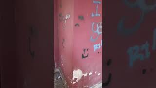 vandali-e-degrado-e-allarme-in-via-fricchione-ad-avellino