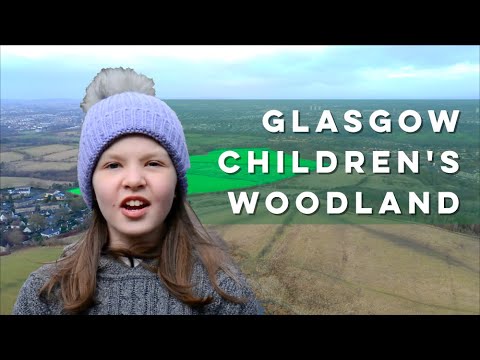 The Glasgow Children's Woodland (The Lost Woods)
