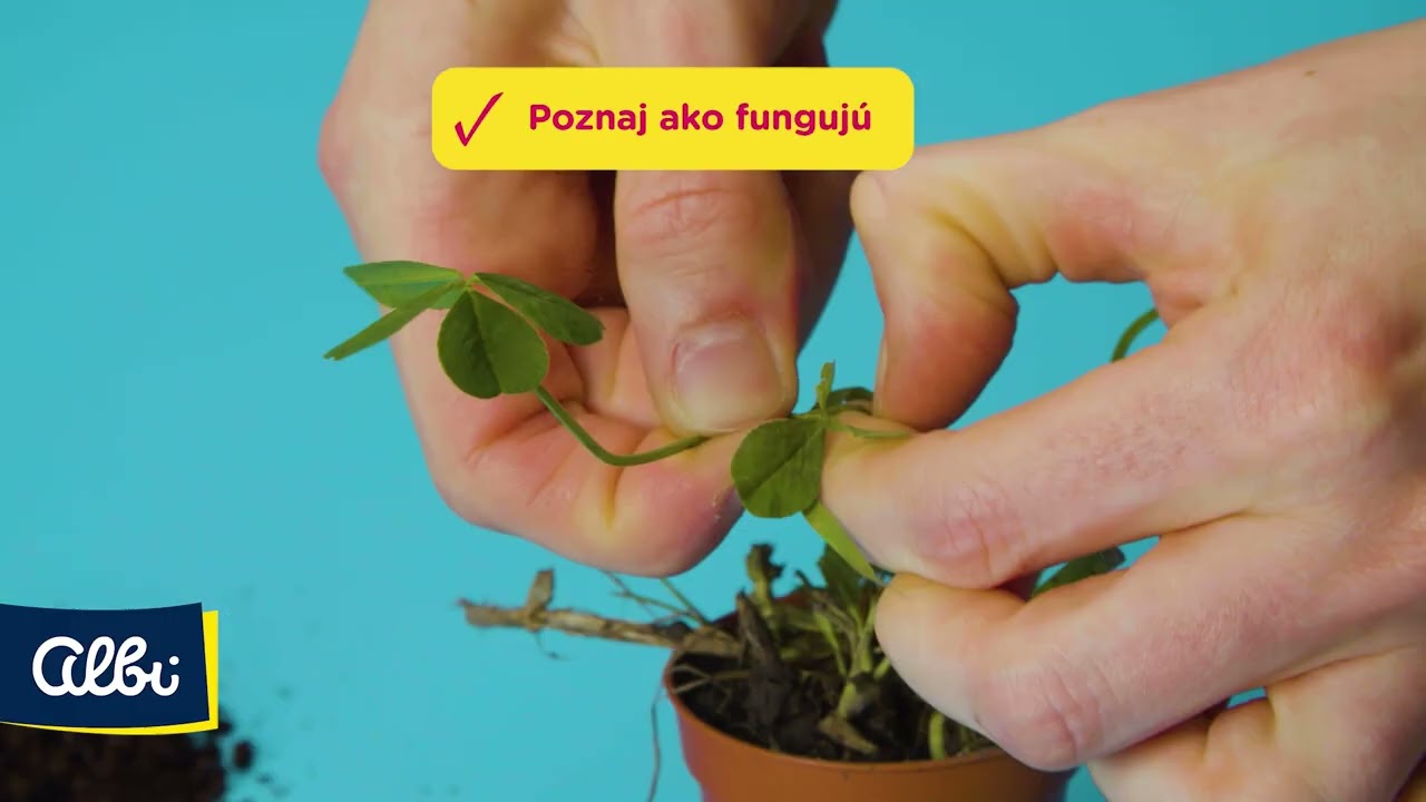 Rastliny - Objavuj svet - predstavenie