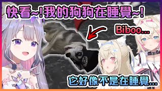 [Vtub] biboo的哈士奇跟著FAWAMOCO