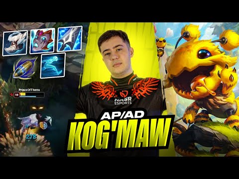 KİMSENİN BİLMEDİĞİ AP/AD KOGMAW | Bolulu #28