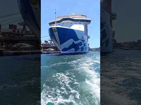 Thumbnail for The Length of Princess Cruises Royal Princess on show