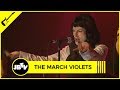 The March Violets - Grooving in Green | Live @ JBTV
