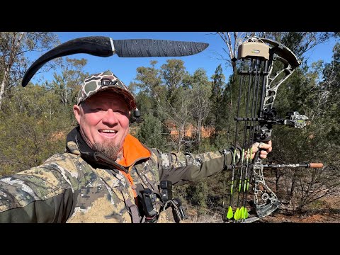 Prowling Pilliga hunt, goat horn hunting knife.,