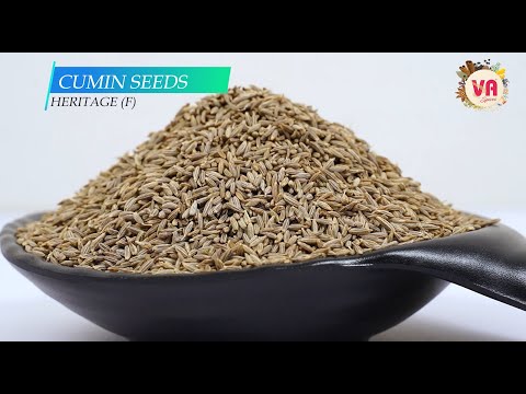Va brown europre 99.50% cumin seeds, packaging size: 25& 50 ...