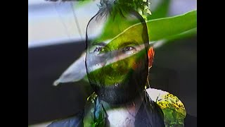 Heaven For Real – “Green Winter”