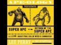 Lee Perry and The Upsetters Return Of The Super Ape 13 Creation Dub, Pt  2