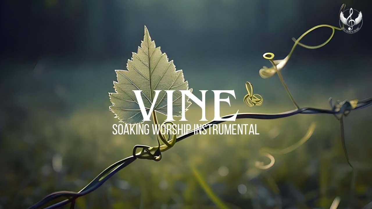 Vine - Soaking Worship Instrumental | Prayer and Devotional