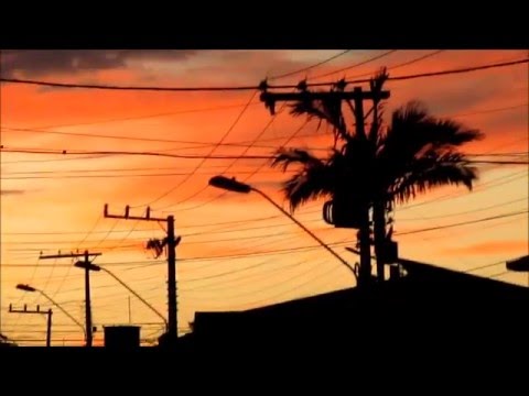 Makalister "A Terça Parte da Noite Não Dormi". (Accidental Music Video)