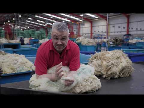 British Wool - Wool Grading and Selling at Auction