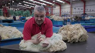 British Wool - Wool Grading and Selling at Auction