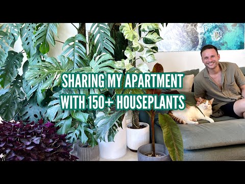 HOUSEPLANT TOUR - my full apartment - February 2023