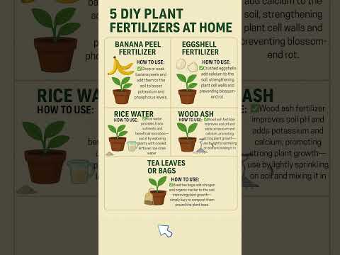 5 DIY Plant Fertilizer at Home #plants #garden #gardening #plantcare #fertilizer #fertilizertips
