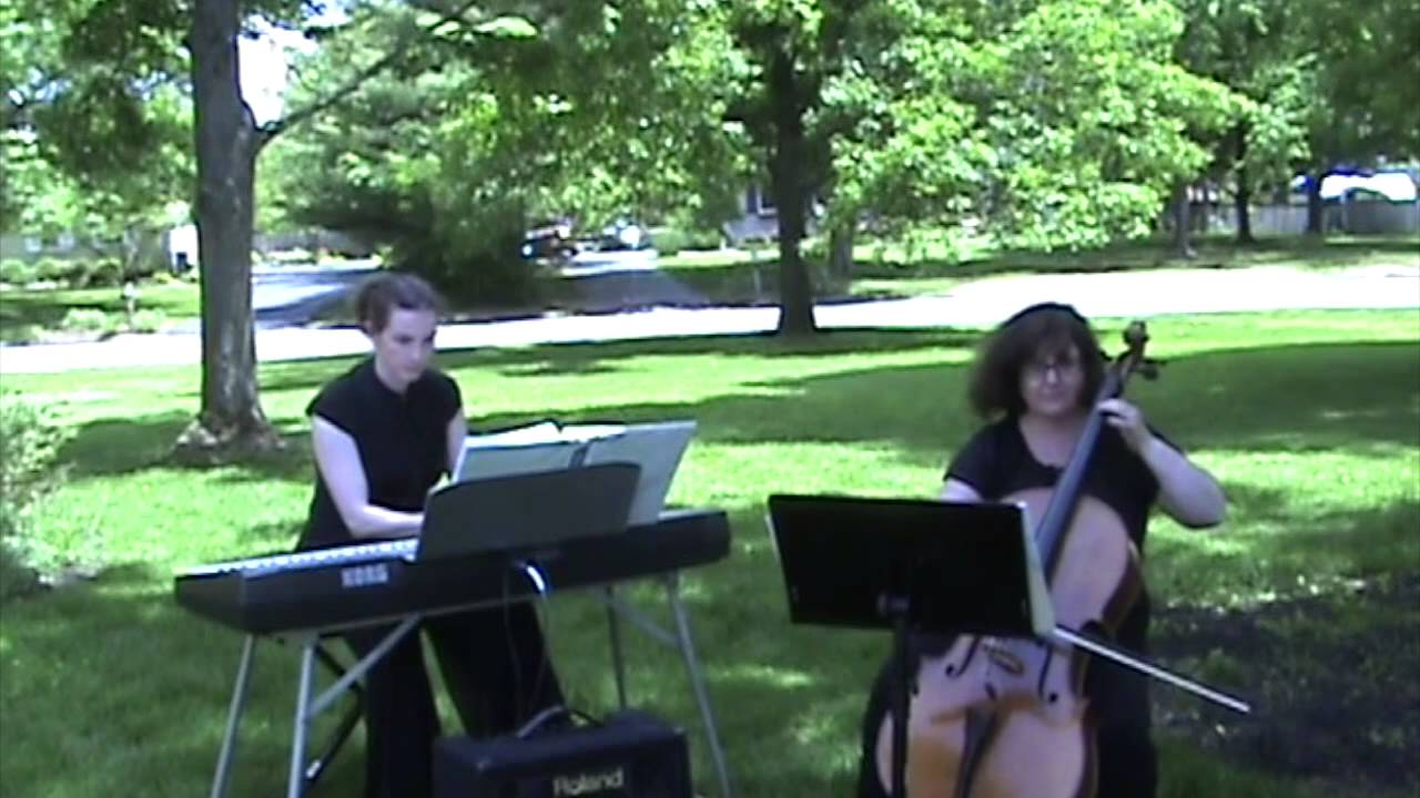 Promotional video thumbnail 11 for Sweet Harmony Live Music