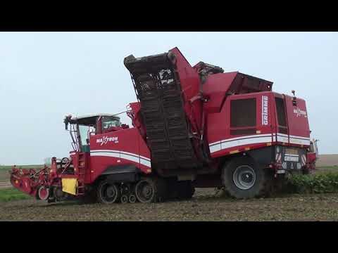 Loonw. Goemaere - Sint-Denijs - Grimme Maxtron 620 - Dewulf R-8000 - New Holland T 7050