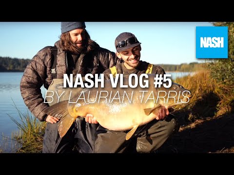 Nash Vlog #5 by Laurian TARRIS - "Carton du bord" (Nouveau Record) 🐋💪