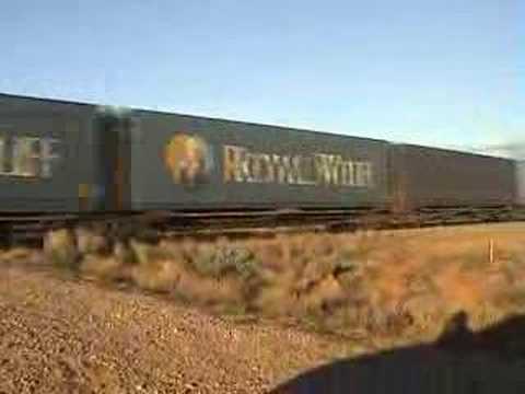 Trailerail - Wininowie SA