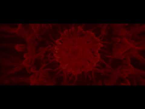 Enter the Void - Pelicula completa subtitulada