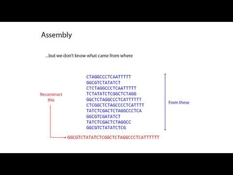 MCB 182 Lecture 3.1 - Genome assembly - Overview