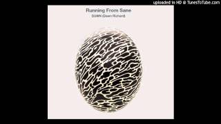 D∆WN (Dawn Richard) - Running From Sane