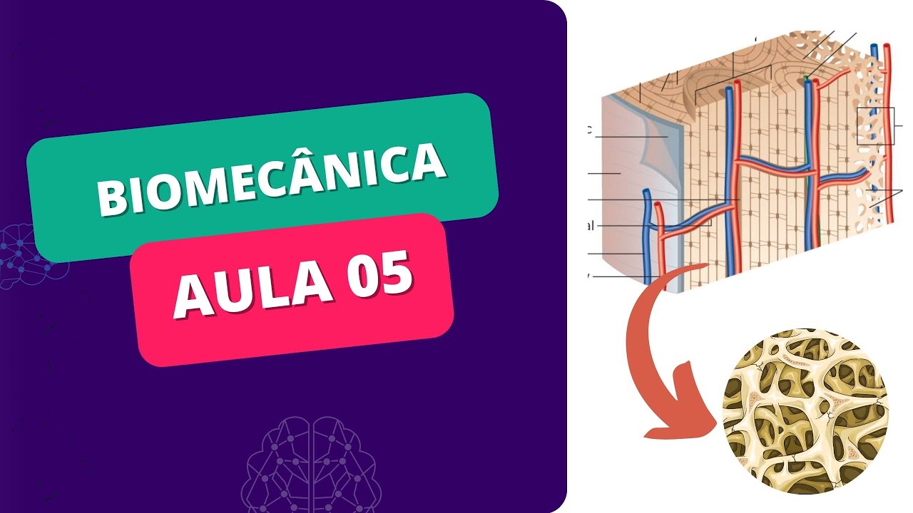 MINI CURSO DE BIOMECÂNICA - Aula 05 - TECIDO ÓSSEO