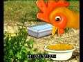 Mr Snail2 23 Rooster MPEG