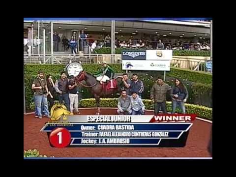 Carrera 7 Sabado 25 de Junio de 2016 | Futurity Garañones 2016