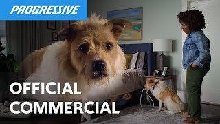 Progressive Woman tells her partner they have pet insurance