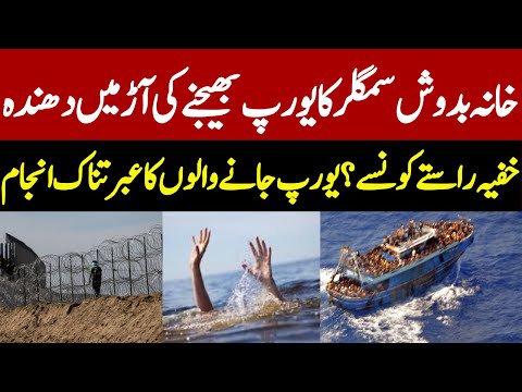 Europe Scam Exposed | Secret Routes | Zamana News