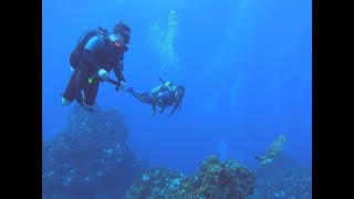 Scuba diving in Cozumel