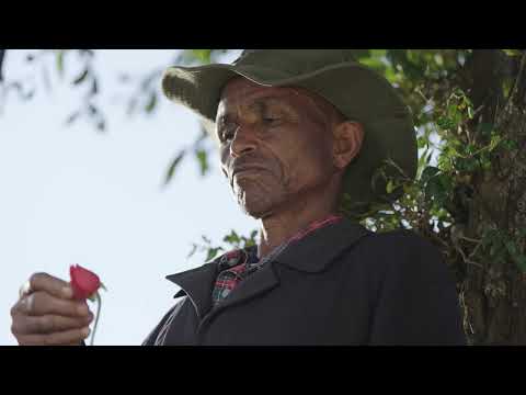 Cultural & Documentary Feature