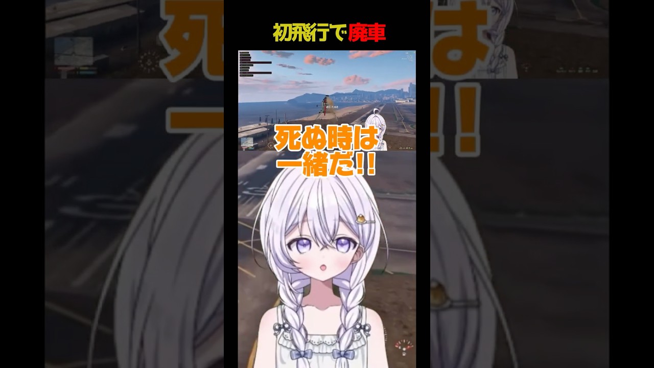 【#らんどぶいっ】初めての飛行機運転結果は！！！【#gta #shorts 】