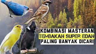 Download lagu MASTERAN EDAN!! INCARAN NYA PARA JURII !! MASTERAN GEREJA - CILILIN  - RAMBATAN -  KENARI mp3 jernih mp3