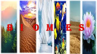 What are biomes? Introduction to biomes