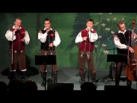 Ansambel Bitenc-Stara vrba (v živo)